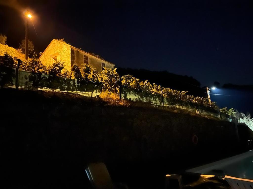 Casa Da Oliveira Villa Mesão Frio Buitenkant foto