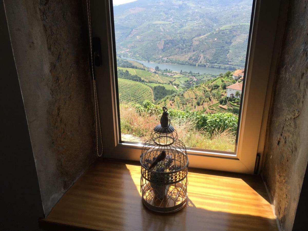 Casa Da Oliveira Villa Mesão Frio Buitenkant foto